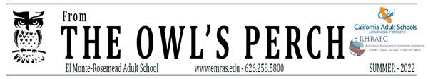  owl perch banner